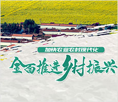 ���o�ȸ��Ŀ���}